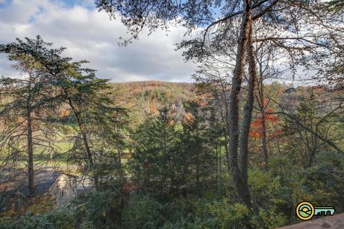 a view of a mountain through the trees at Villa #119 in Basye