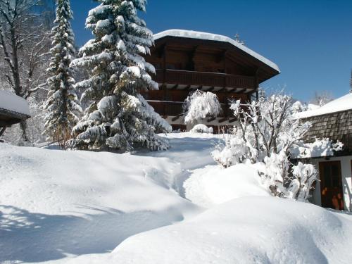 Chalets Zöhrer - Wohnen am Wasser im Winter