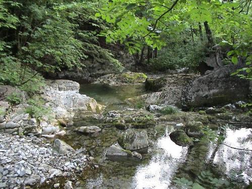 a stream of water with rocks and trees at Mulino Baiar in Stregna