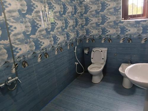 a bathroom with a toilet and a sink at Muthu Villa in Negombo