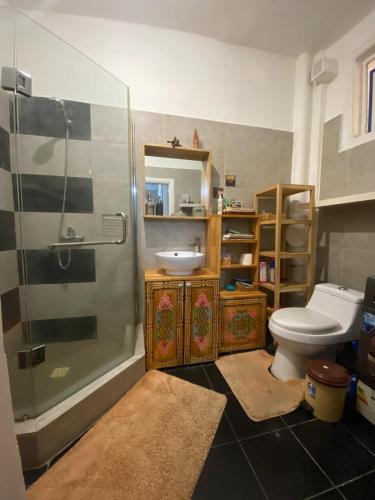 a bathroom with a shower and a toilet and a sink at Russian Embassy Apartment in Ulaanbaatar