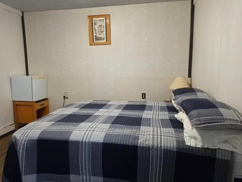 a bedroom with a blue and white checked bed at Dinosaur Hotel in Drumheller