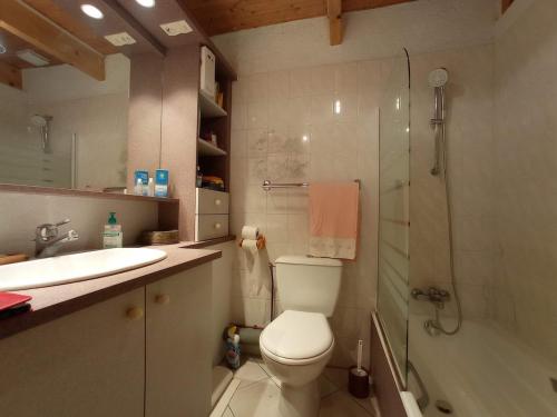 a bathroom with a toilet and a shower and a sink at Nice cottage in Brittany in Plouigneau