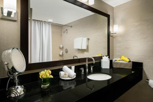a bathroom with a sink and a large mirror at Hyatt Centric Arlington in Arlington