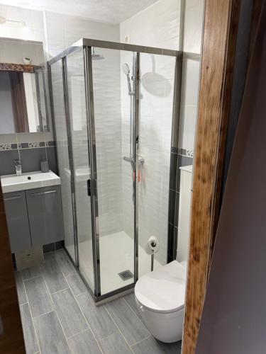 a bathroom with a shower and a toilet and a sink at Studio avec cheminée et jardin in Gréolières