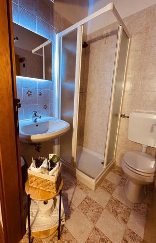 a bathroom with a shower and a sink and a toilet at Agriturismo Pian Formosa in Pian Formosa