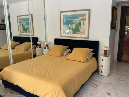 Studio basse californie cannes