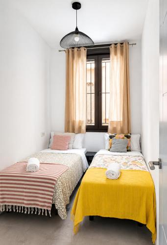 Belnura Malaga Centro 1