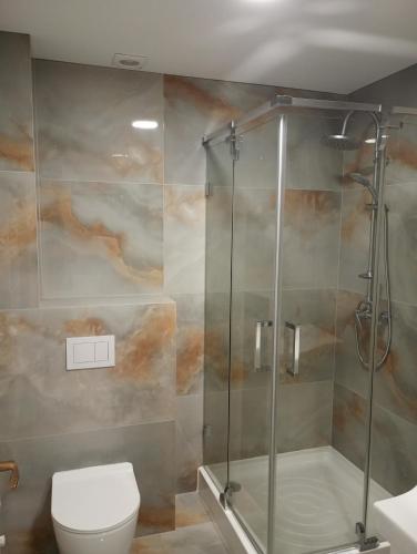 a bathroom with a shower and a toilet at Deluxe apartament Vatra Dornei in Vatra Dornei