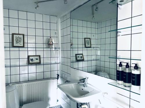 a bathroom with a sink and a toilet and a mirror at Lodsoldermandsgården in Rørvig