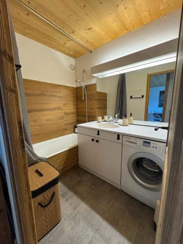a bathroom with a washing machine and a sink at Chalet Les Combes in Notre-Dame-de-Bellecombe
