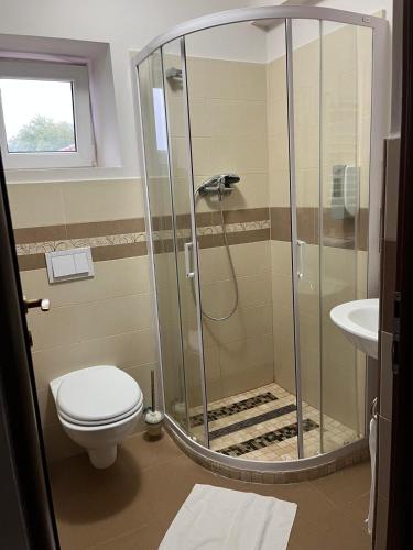 a bathroom with a shower with a toilet and a sink at Pensiunea Eden in Jibou