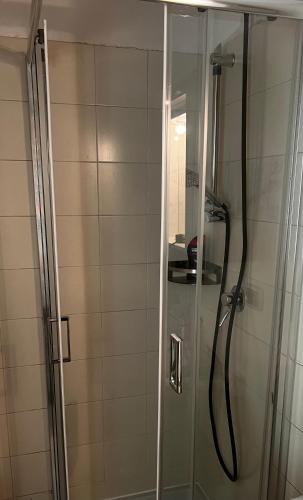 eine Dusche mit Glastür im Badezimmer in der Unterkunft SISSI MENDEL Residence in Ronzone
