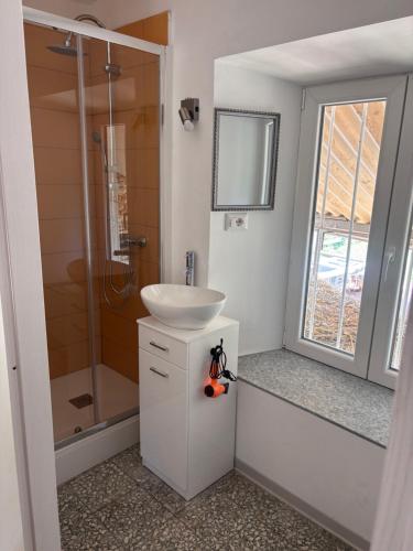a bathroom with a sink and a shower at Family in Envie