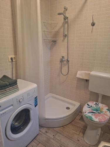 a bathroom with a washing machine and a toilet at Studio Laura in Ičići