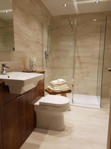 a bathroom with a toilet and a sink and a shower at The Little House by the Ness in Inverness