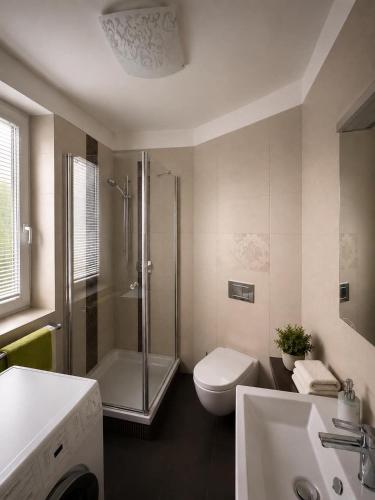 a bathroom with a shower and a toilet and a sink at Marcelo Deluxe Apartment in Tihany