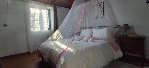 a bedroom with a bed with a mosquito net at IRENE'S village home in Loutrákion