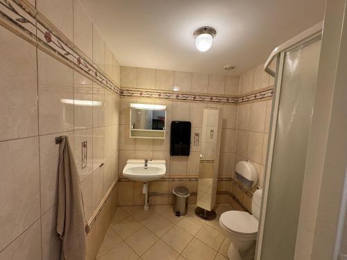 a bathroom with a sink and a toilet and a mirror at Ekängens vandrarhem in Virserum