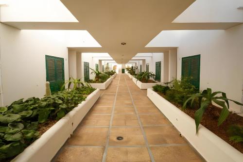 Bungalow Balancon duplex