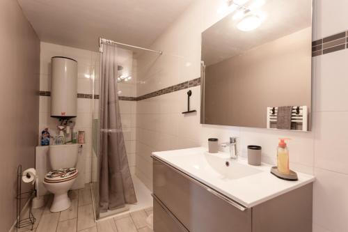 a bathroom with a sink and a toilet and a mirror at L'Authentique Maison Béarnaise in Lagor