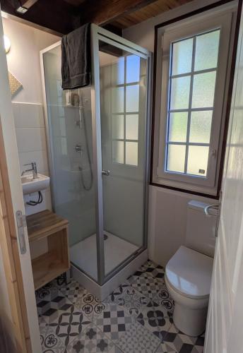 a bathroom with a shower and a toilet and a sink at LoFt Les Castilléres in Condat-sur-Trincou