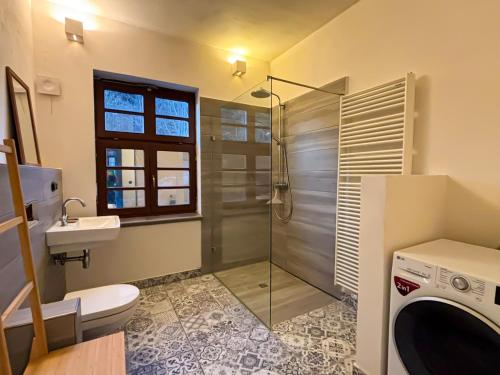 a bathroom with a shower and a toilet and a sink at Schloss Mühlen in Horb am Neckar
