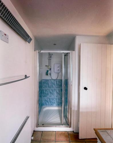 a bathroom with a shower with a glass door at 2 bed cottage, in the Wicklow Mountains in Tinahely