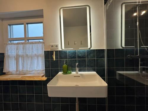 a bathroom with a white sink and a mirror at Schlosserhäuschen in Leipzig
