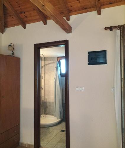 a door to a bathroom with a shower in a room at Steni Vala Apartments in Steni Vala Alonissos