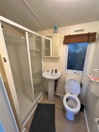 a small bathroom with a toilet and a sink at Leuke 6 persoons stacaravan op top locatie! in Hoenderloo