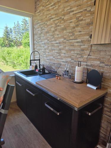 a kitchen with a counter and a sink and a brick wall at House4Seasons in Lič