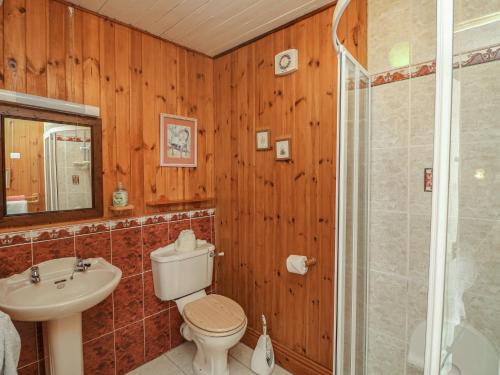 a bathroom with a toilet and a sink and a shower at Cairbre House in Dungarvan
