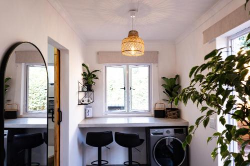 a kitchen with a washer and dryer and a potted plant at Hilton Hideaway in Hilton