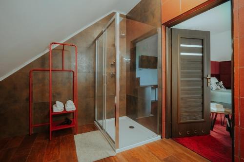 a bathroom with a shower with a glass door at Dwór Ujazdowski in Nielisz
