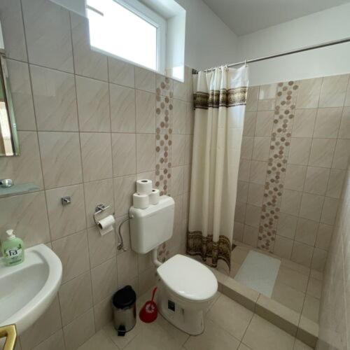 a bathroom with a toilet and a sink and a shower at Levendula Vendégház - Bezi in Bezi