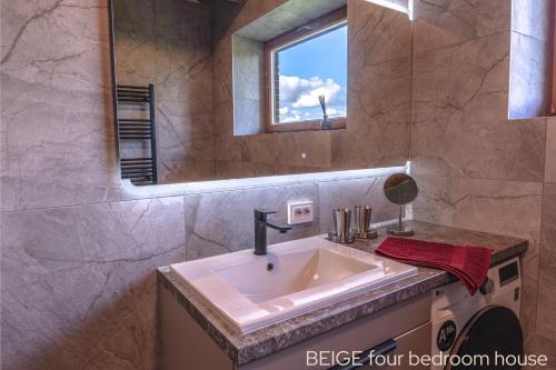 a bathroom with a sink and a mirror at Prie Trakų in Petkėniškės