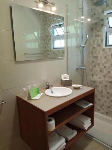 a bathroom with a sink and a mirror and a shower at Solar Do Conde Garden Hotel in Capelas