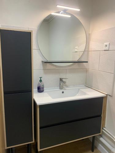 a bathroom with a sink and a mirror at Gite VILLENEUVE LA COMTESSE in Villeneuve-la-Comtesse