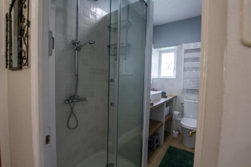 a bathroom with a shower with a sink and a toilet at L' ebénisterie in Tocane-Saint-Apre