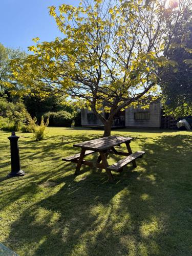 a picnic table under a tree in a field at La Longère au Fil des Saisons in Favières