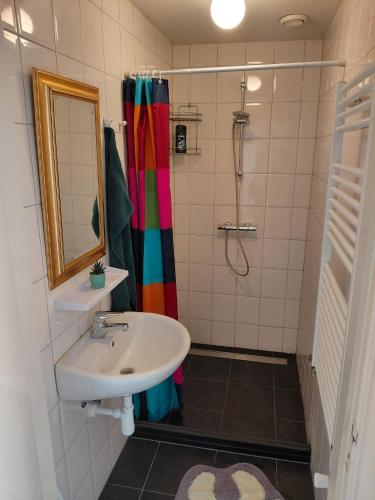 a bathroom with a sink and a shower at Vijverzicht Krabbendijke centrum in Krabbendijke