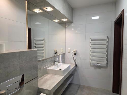 a bathroom with a sink and a mirror at Potocki Dwór in Jędrzejów