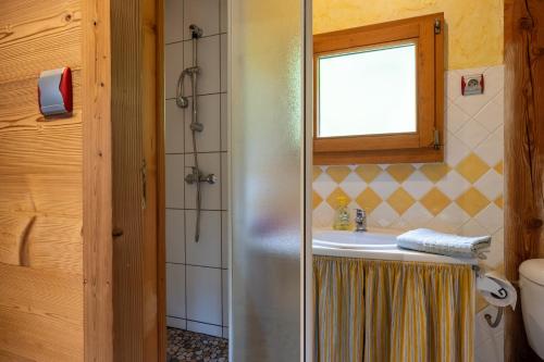 a bathroom with a shower and a sink at Chalet Chez Corinne in Cornimont