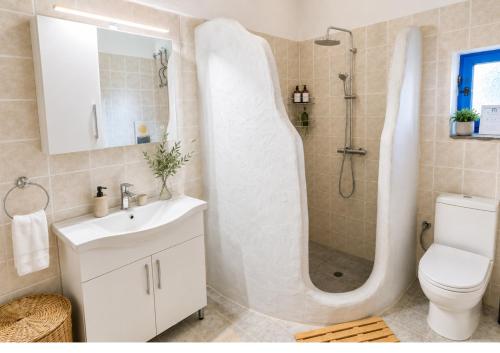 a bathroom with a shower and a sink and a toilet at Garden Residence Andros with Sea View & Pool in Gavrio