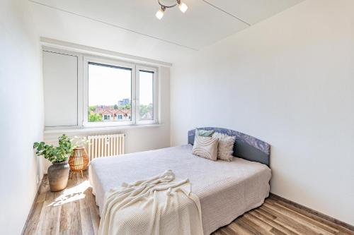 1 bedroom 1 living room apartment with a kitchen