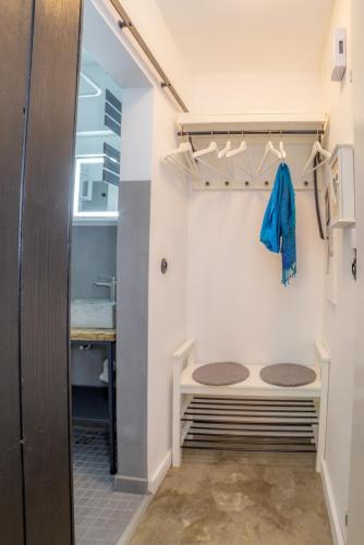 a walk in shower in a room with a sink at Tiny Loft Harz in Sankt Andreasberg