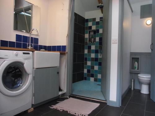 a bathroom with a washing machine and a shower at Rhiwiau Self Catering in Carmarthen