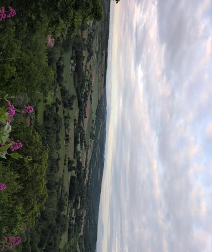 an aerial view of a river and trees at Au soleil in Virac