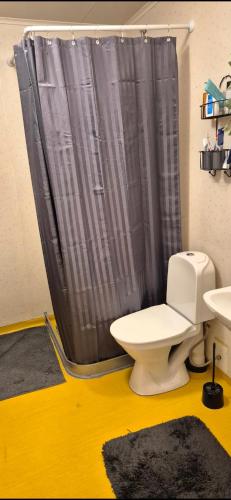 a bathroom with a toilet and a shower curtain at Monis und Marcos B&B in Koppom